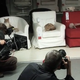Illustration for article titled IKEA Let Loose a Herd of 100 Cats Into Store to See What Happens